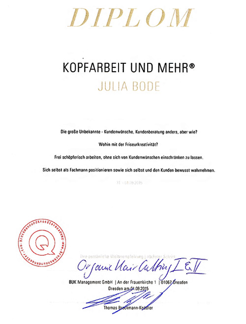 Diplom Kopfarbeit und mehr von Julia Bode